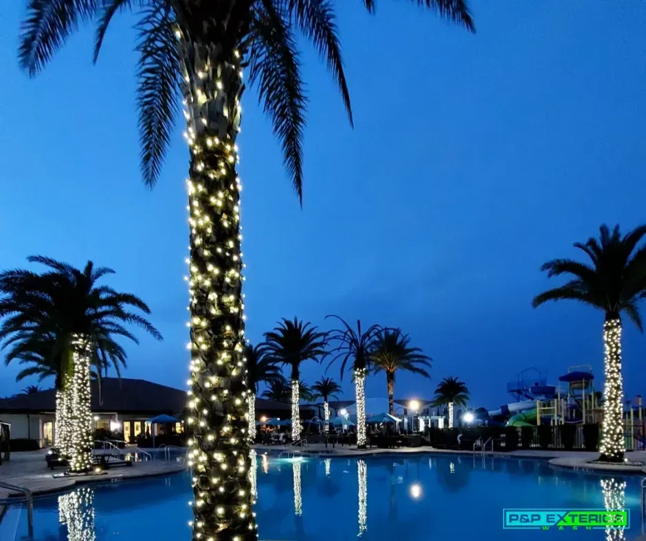 A palm tree is lit up with christmas lights in front of a swimming pool