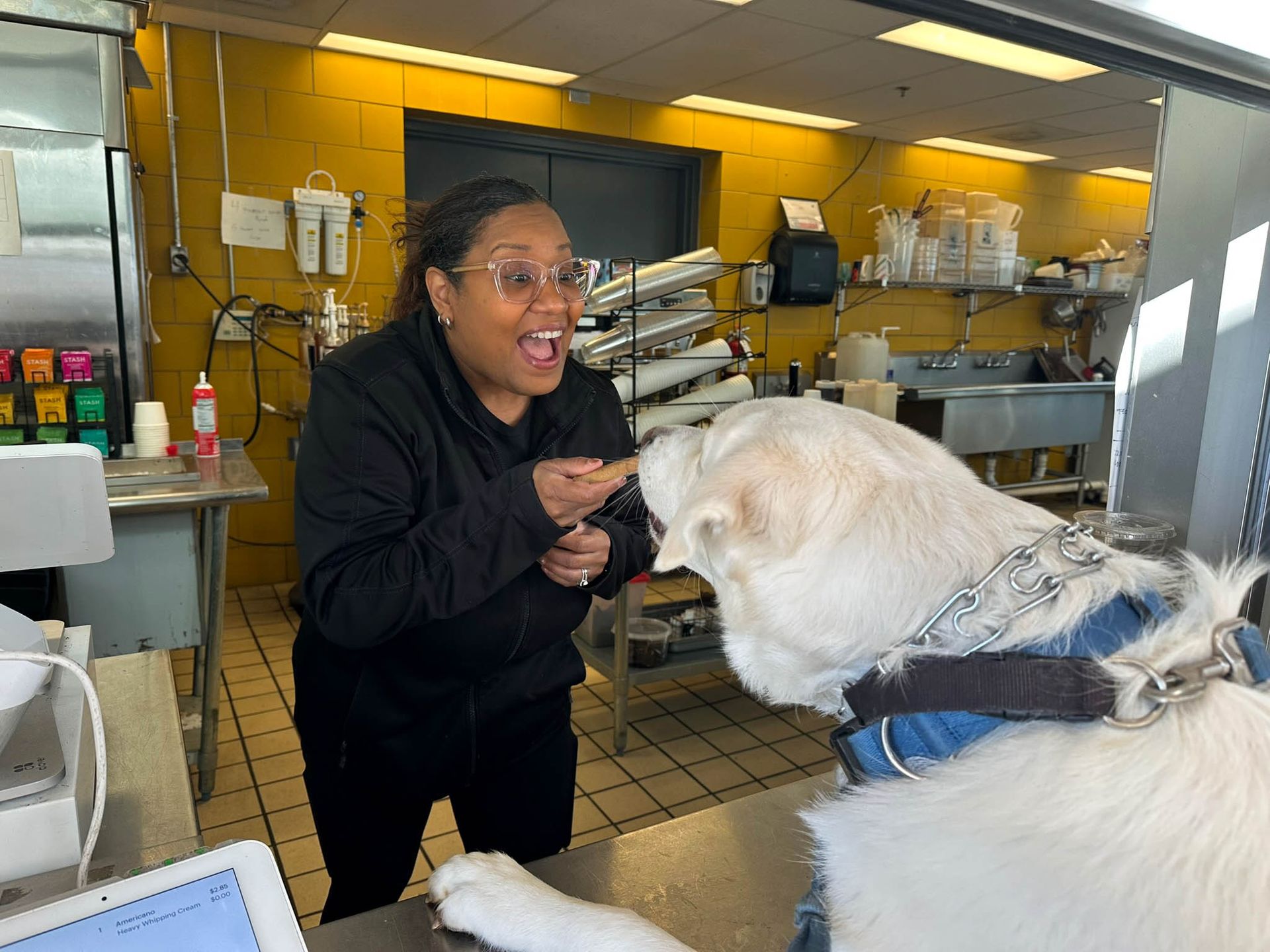A woman is feeding a white dog in a kitchen.