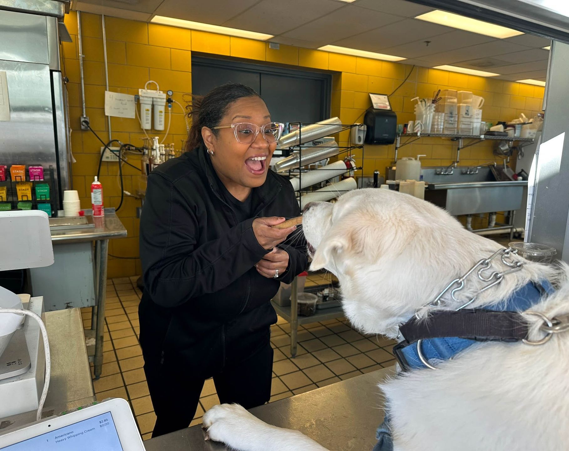 A woman is feeding a white dog in a kitchen.