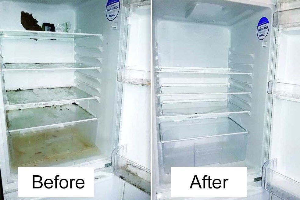 Expert refrigerator cleaning in Chicago