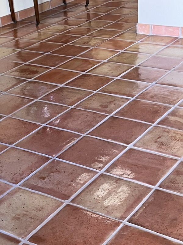 Brown terracotta tile floor with white grout, reflecting light in a room.