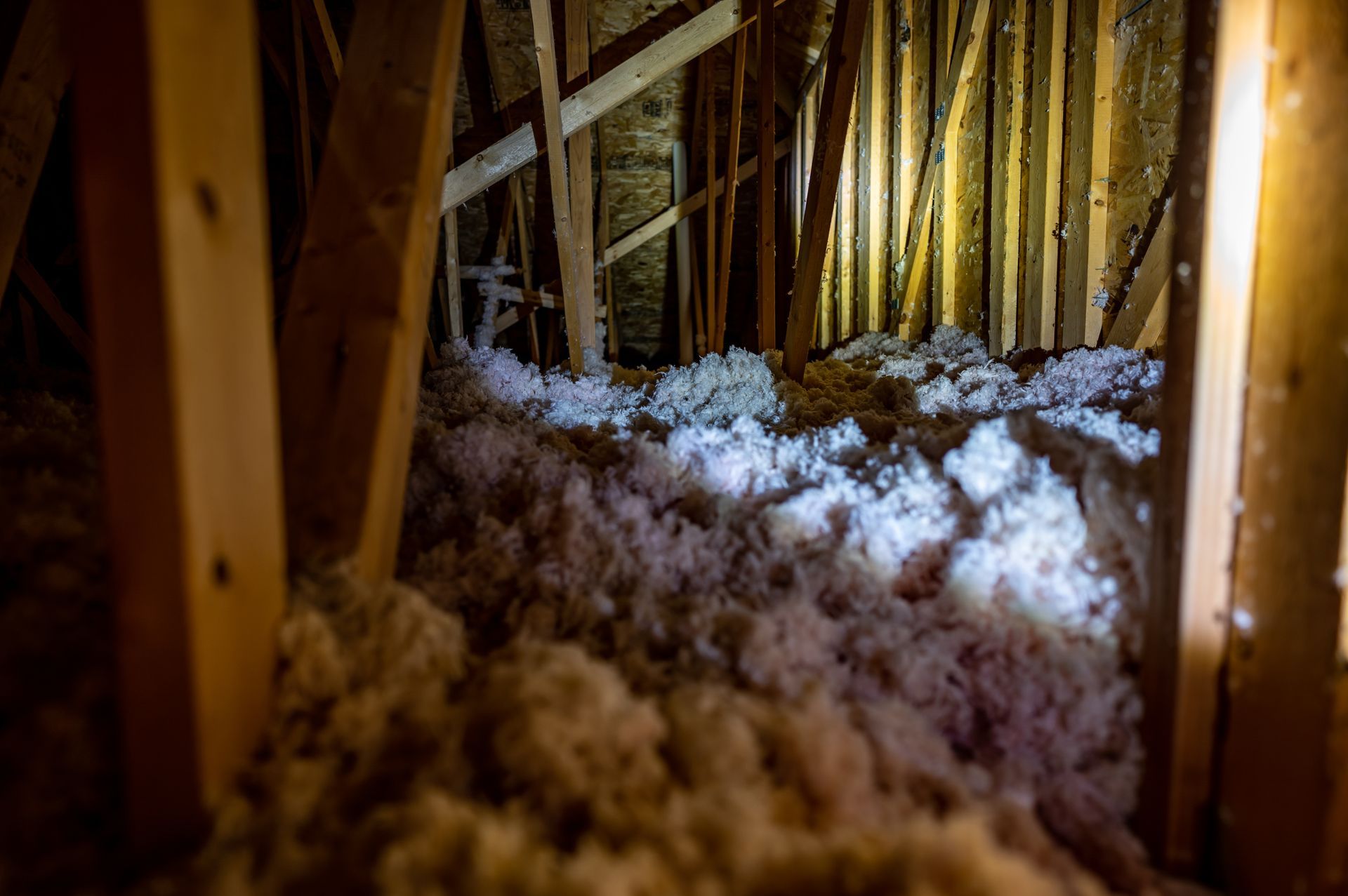 Dark attic interior with wooden beams and insulation