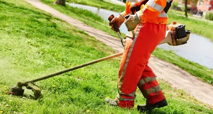 4. Contratar un Servicio Profesional de Mantenimiento de Jardines en Toledo