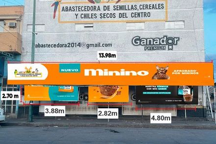 GRÁFICA SIETE