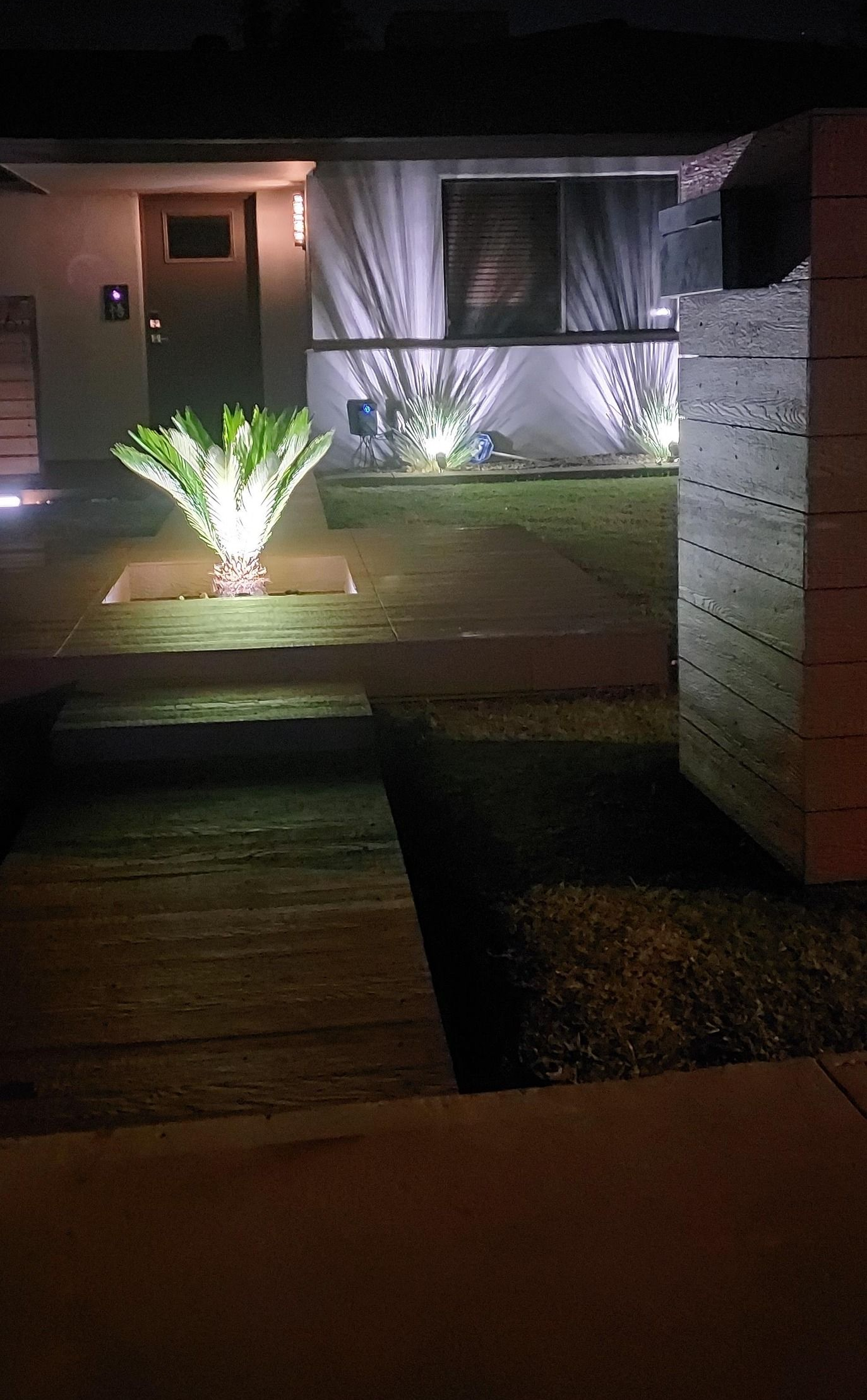 Nighttime view of a house with landscape lighting illuminating a front yard with a palm tree and other plants.