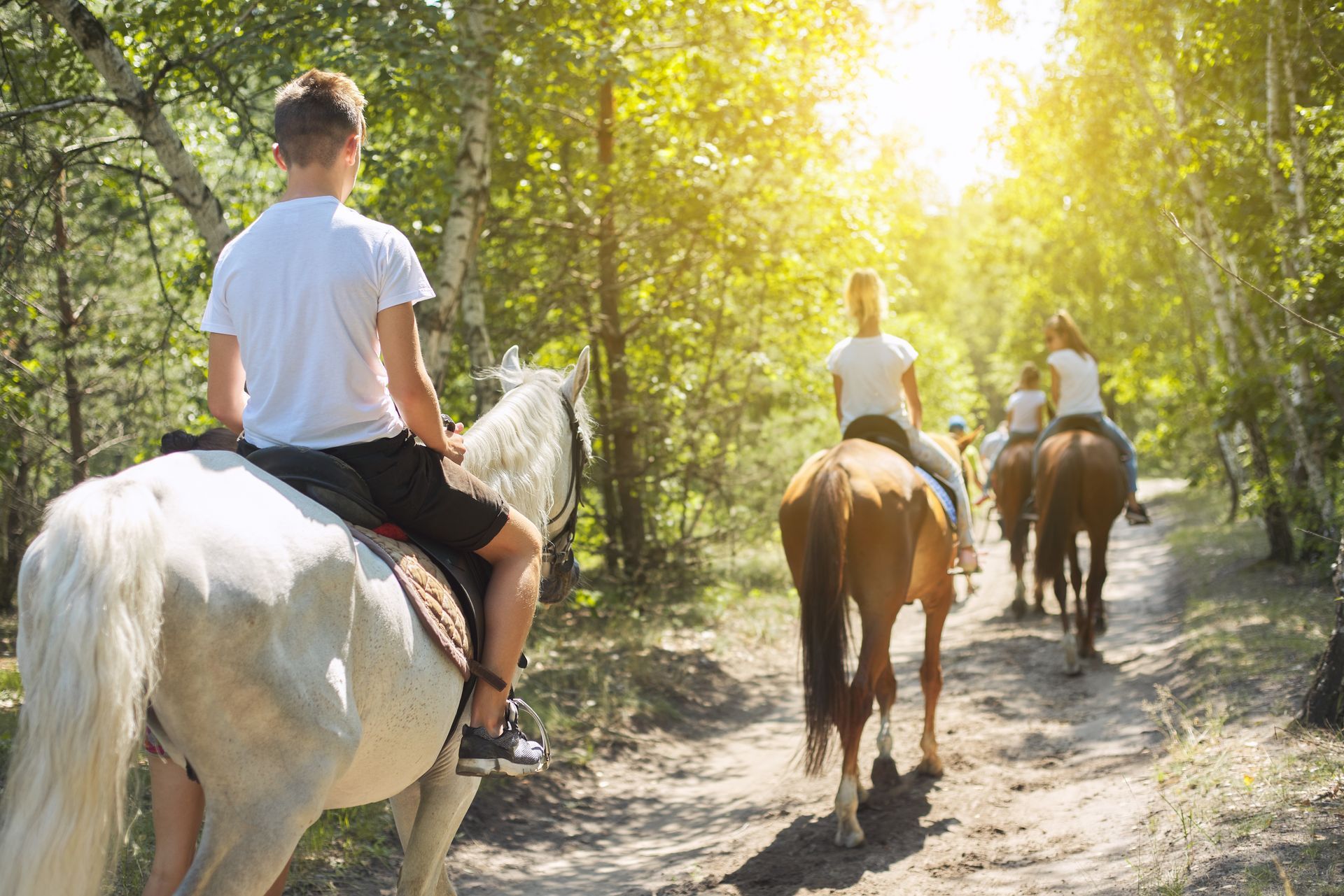 A group of people are riding horses down a dirt path in the woods.