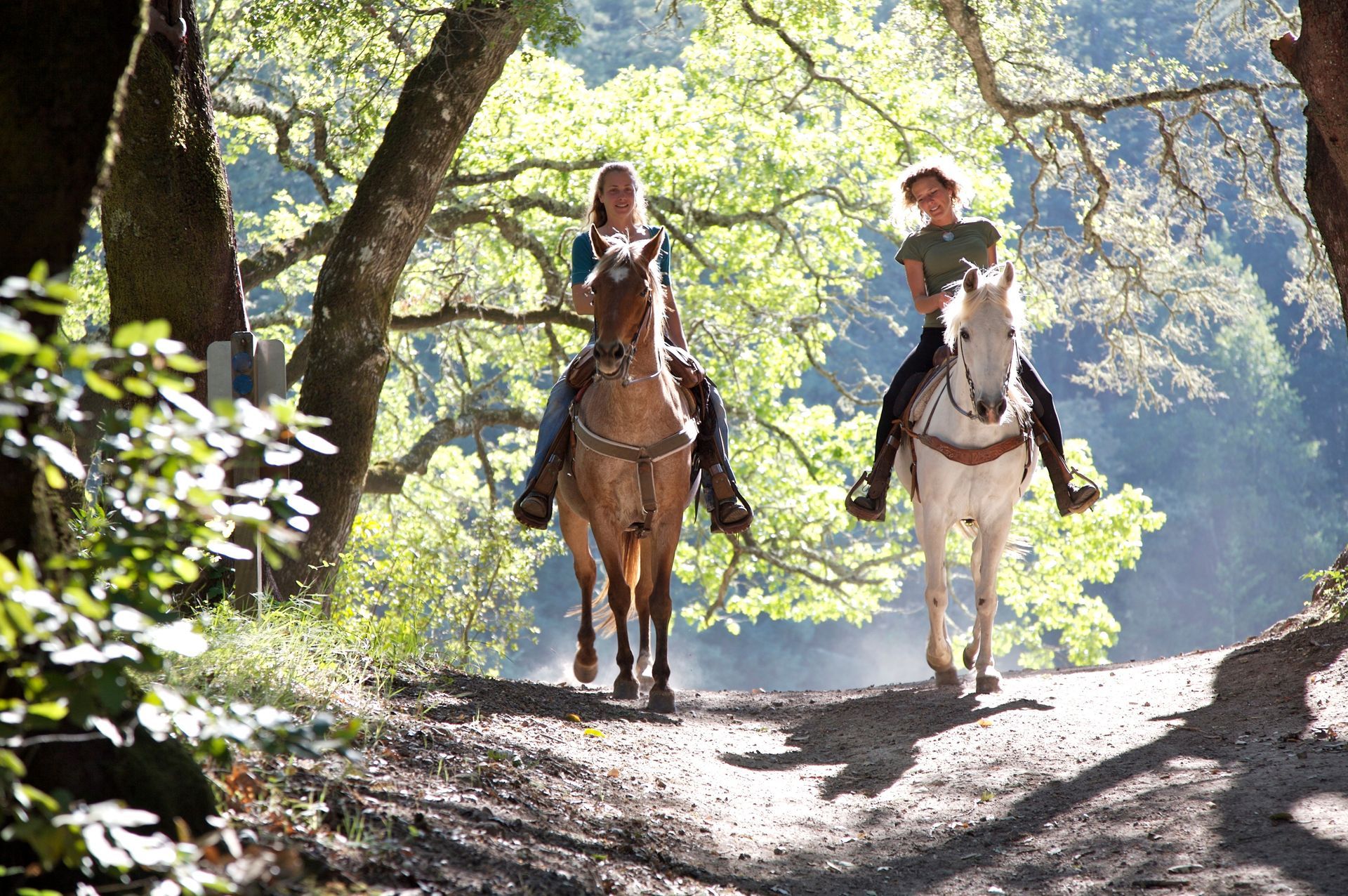 Two people are riding horses down a dirt road.