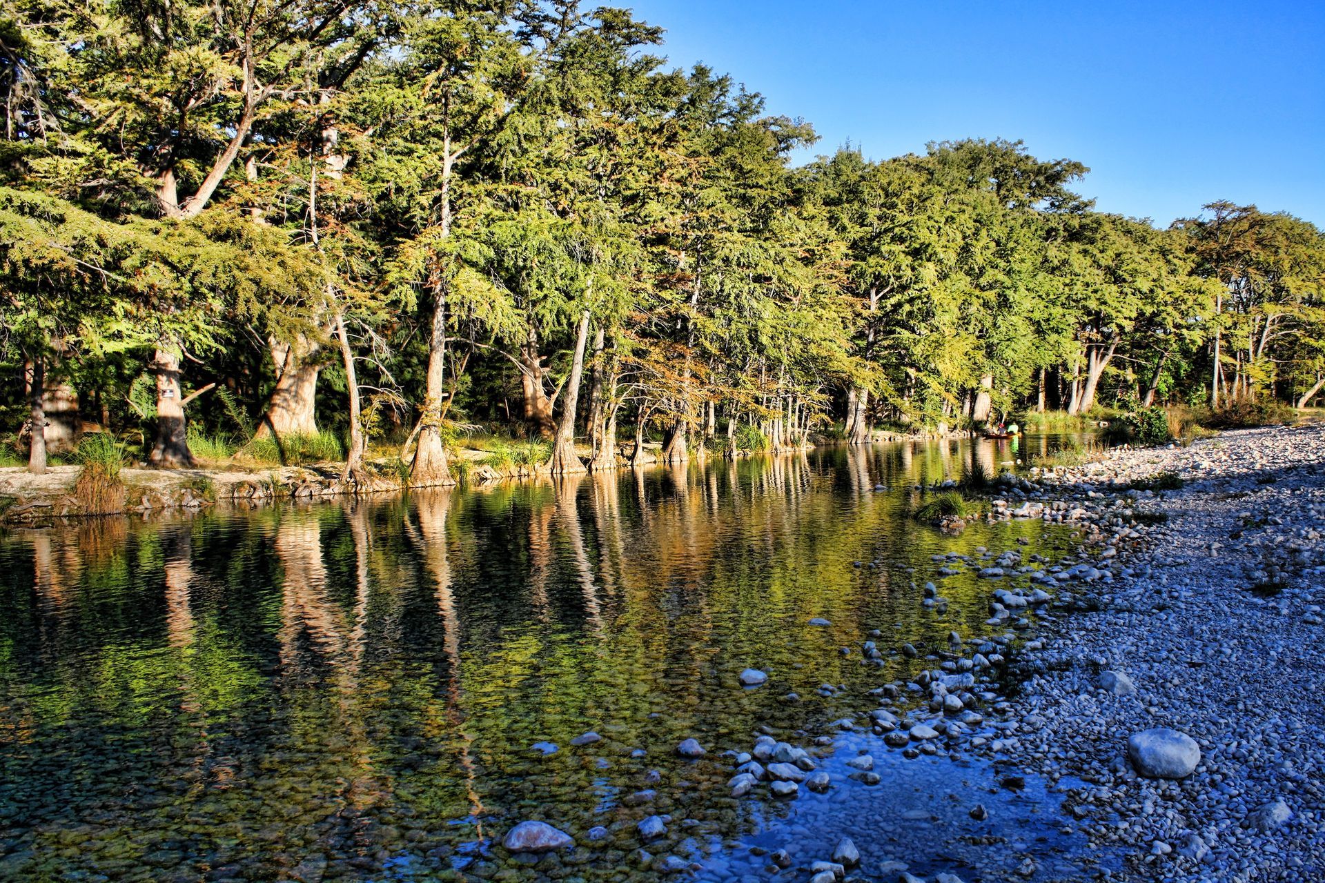 A river with trees on the shore and trees reflected in the water