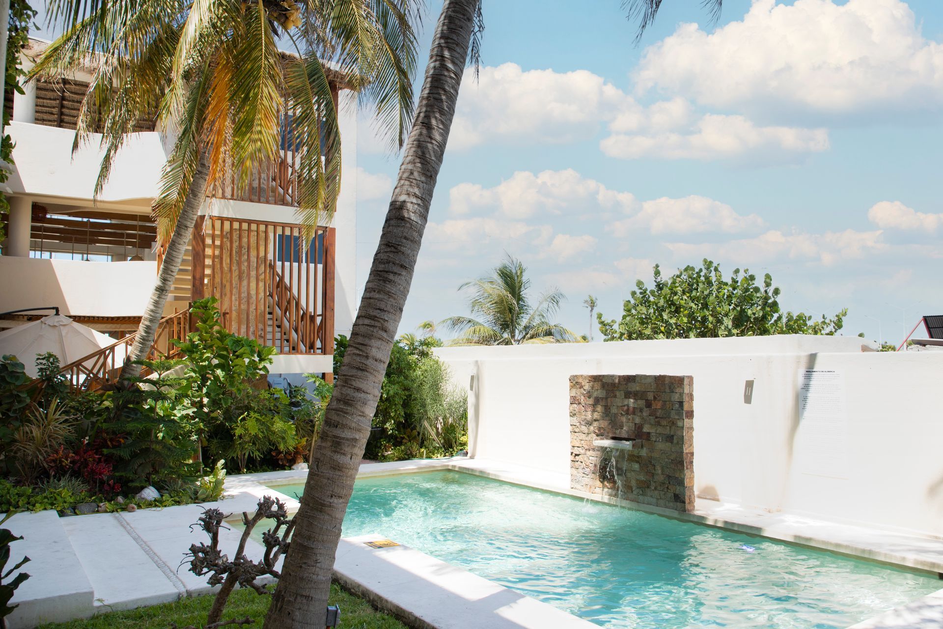 Una gran piscina con una palmera en primer plano.