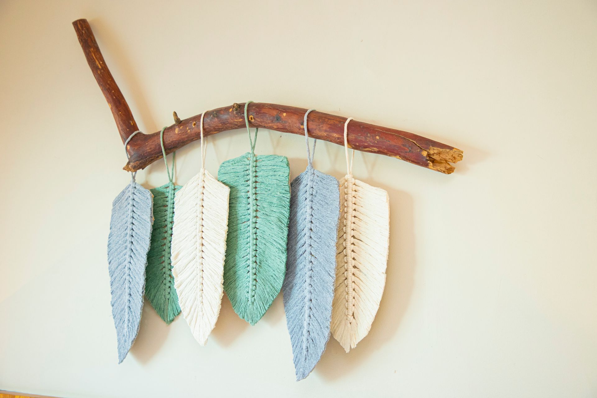 Un montón de plumas colgando de una rama en una pared.