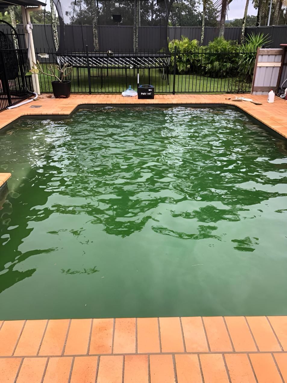 A Swimming Pool With Green Water And A Fence Around It — Aqua Duck Pool Care In Beerwah, QLD