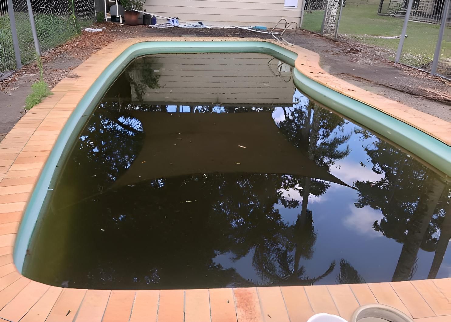 An Empty Swimming Pool With A Green Border — Aqua Duck Pool Care In Caloundra, QLD