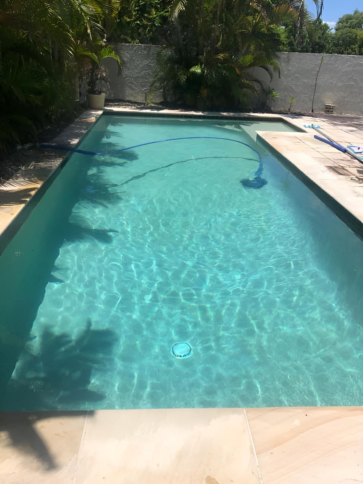 A Large Swimming Pool Surrounded By Trees And Bushes In A Backyard — Aqua Duck Pool Care In Sippy Downs, QLD