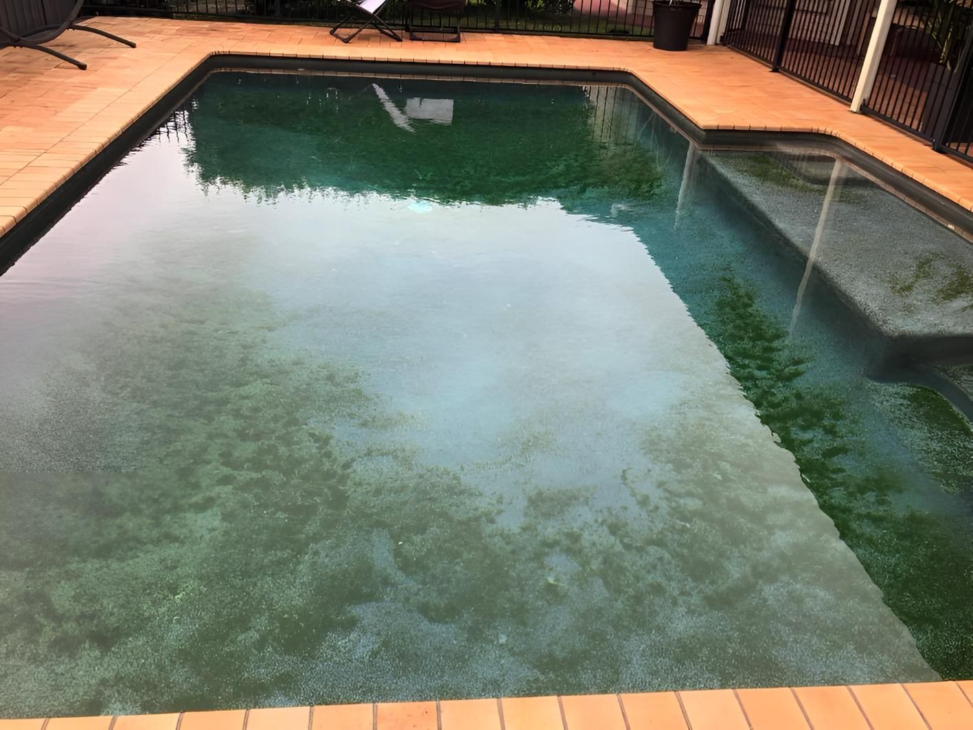 A Large Swimming Pool With A Lot Of Green Algae In It — Aqua Duck Pool Care In Sippy Downs, QLD
