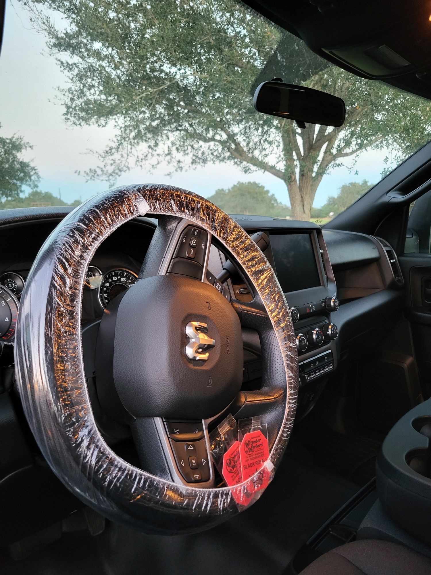 Steering wheel inside a truck with plastic cover, tree in the background.