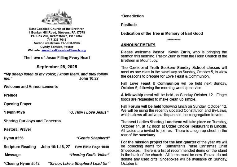Sunday Bulletin Details