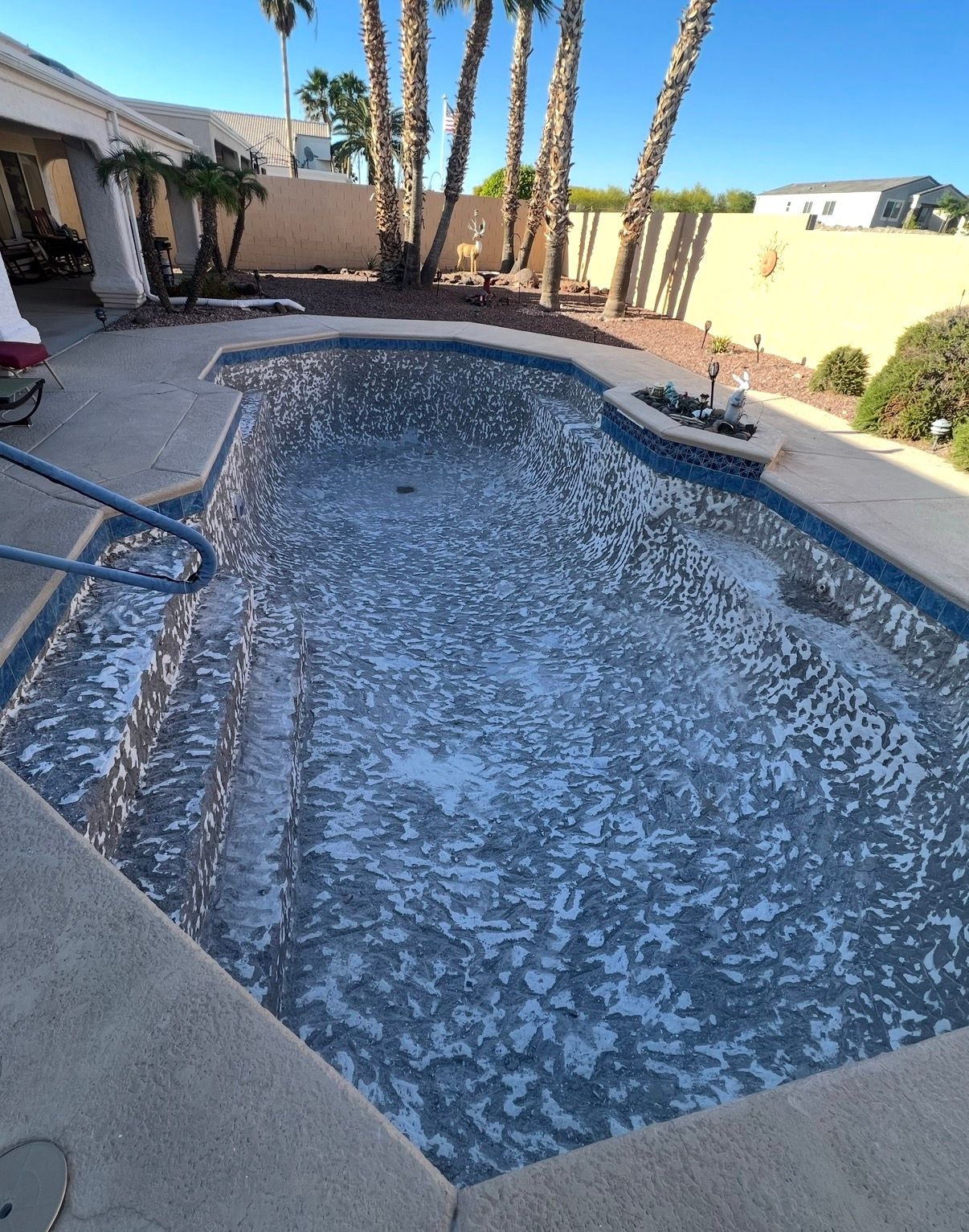Swimming pool with tiled interior and a surrounding concrete patio; palm trees in the background.