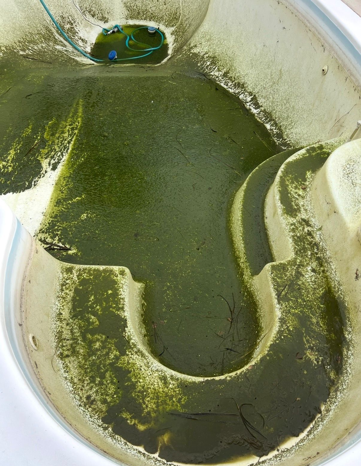 Dirty, green-filled water feature, possibly a pool or fountain. Surfaces coated with algae.