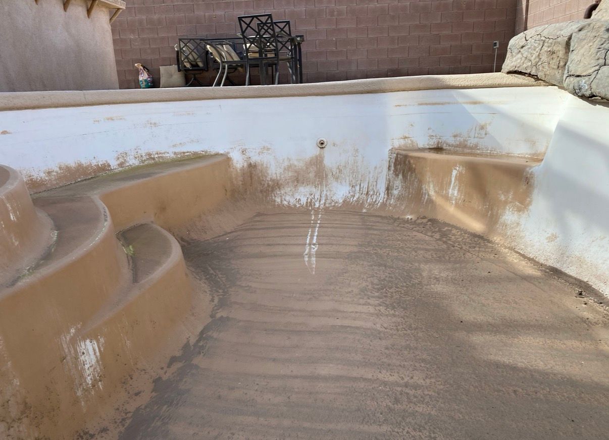 Empty, dirty pool with brown algae stains. Steps lead into the pool. The setting is outdoors.