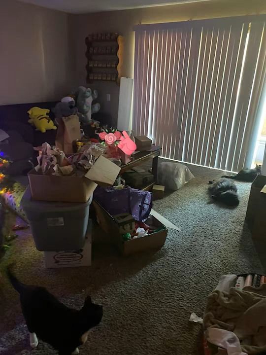 A living room not organized with lots of boxes and toys ready to move out. If you need to get help with move out cleaning, call Bunny's cleaning service in Coachella Valley.