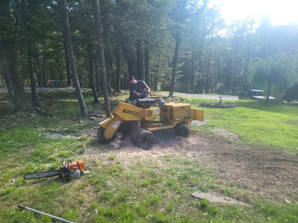 A person operates a yellow stump grinder in a grassy area with trees, creating a pile of wood chips nearby.