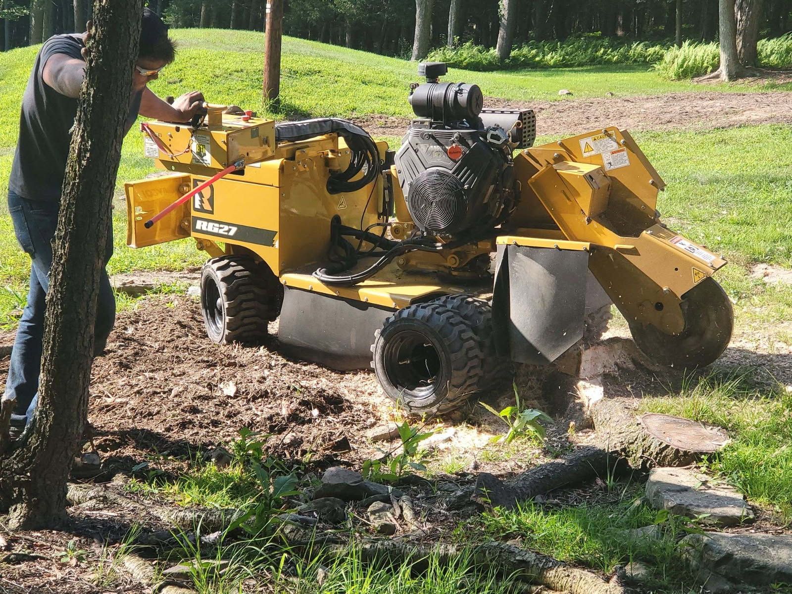 A person operates a yellow Vermeer stump grinder to remove a tree stump in a grassy yard.