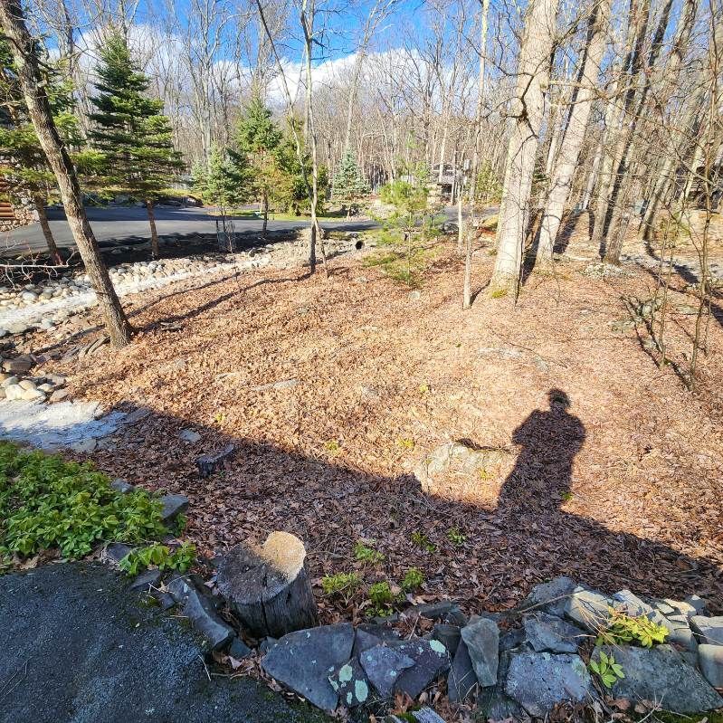 A person's shadow falls across a leaf-covered yard with a stone retaining wall in the foreground and trees in the back.