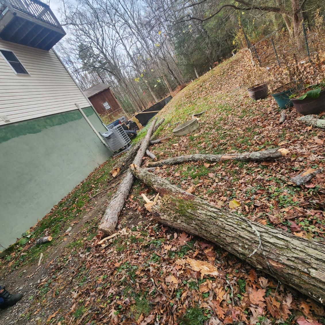 Fallen tree limbs lying on the ground next to a house with light-colored siding and a green foundation.