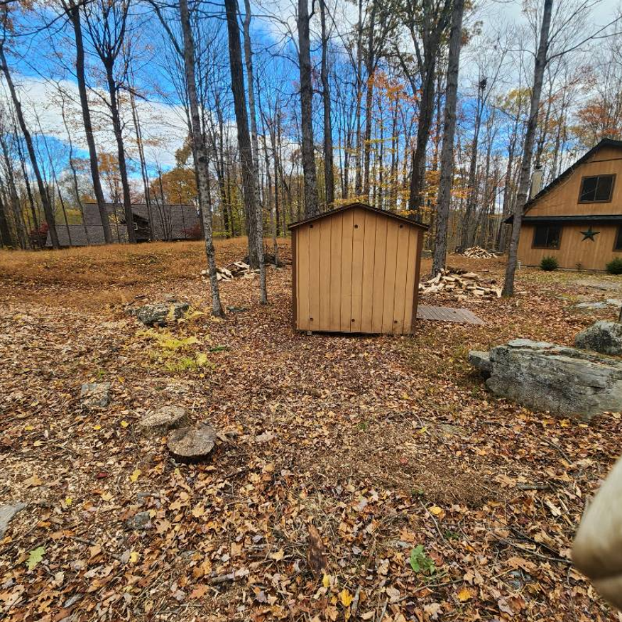 A tan wooden shed sits on a leaf-covered forest floor, with a larger house visible in the background among trees.