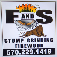 Business sign for F and S Stump Removal featuring a circular saw blade logo, services offered, and phone number 570-229-1419.