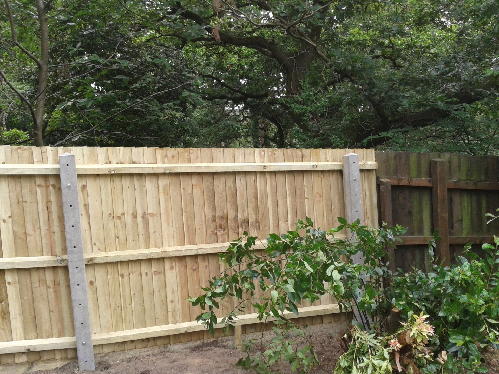 Fencing experts Bournemouth CPS Fencing & Sons Ltd