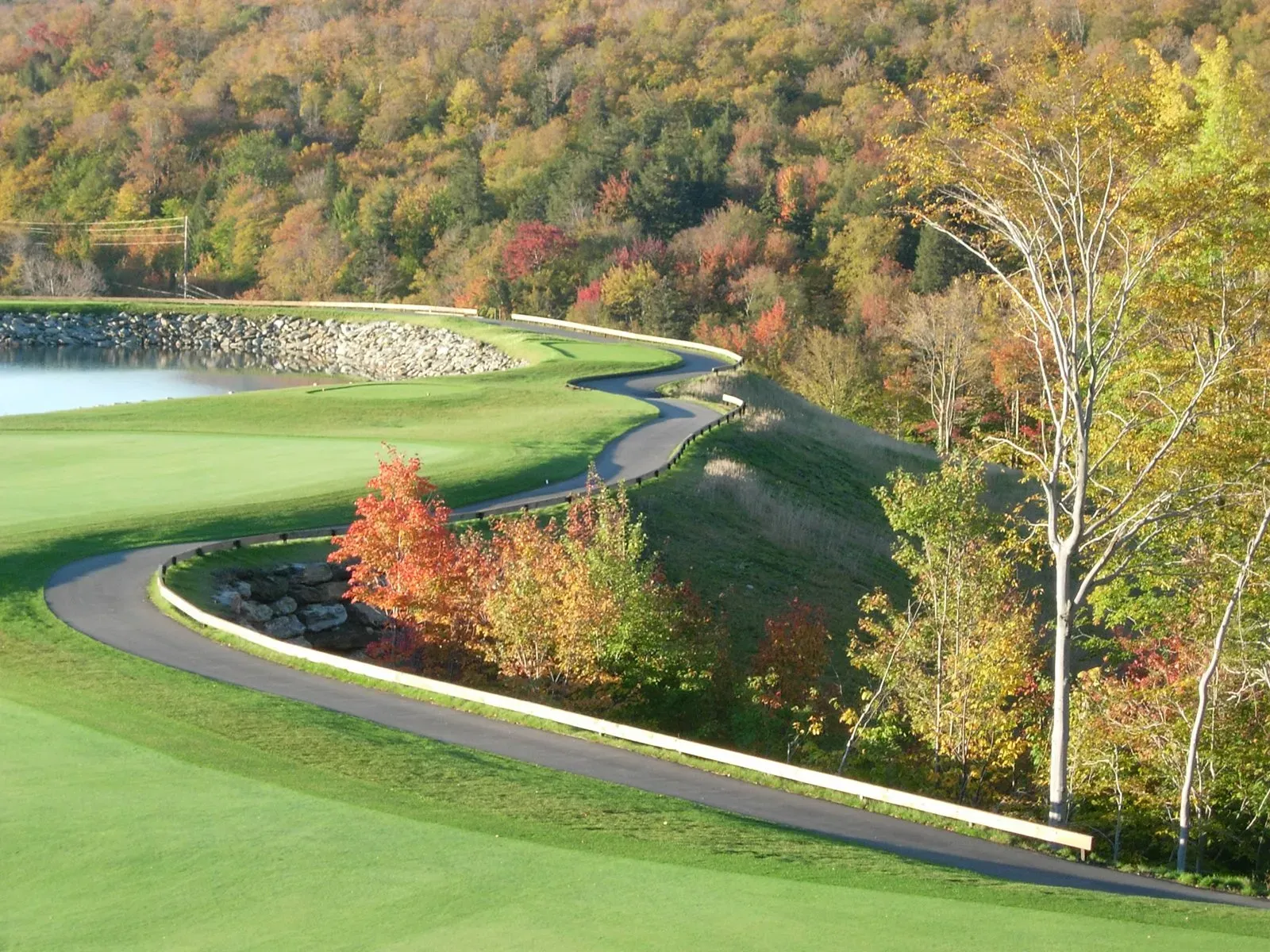 Colorful Trees - Burlington, VT - Rox Asphalt
