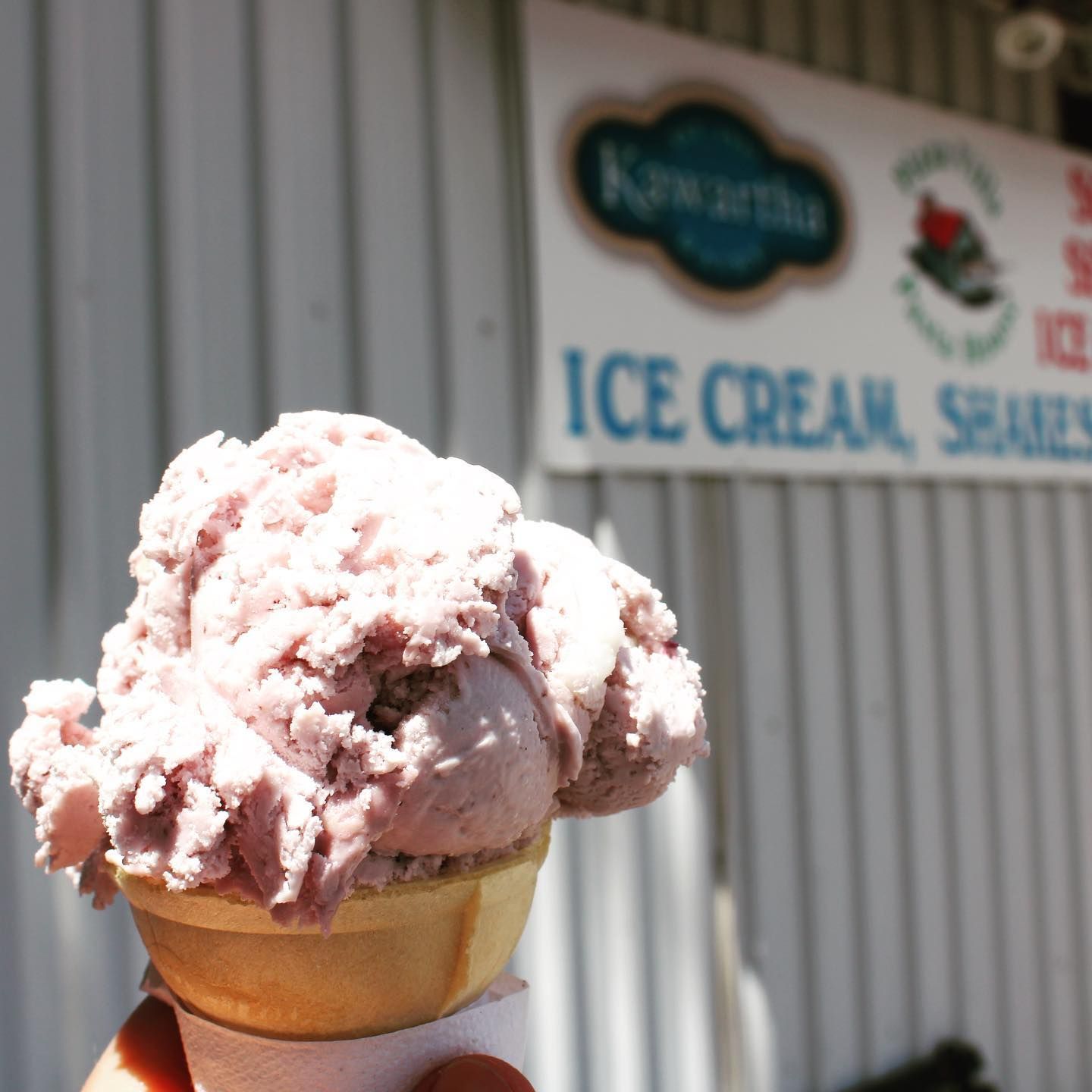 Two cups of ice cream , two cones , and sprinkles on a table.