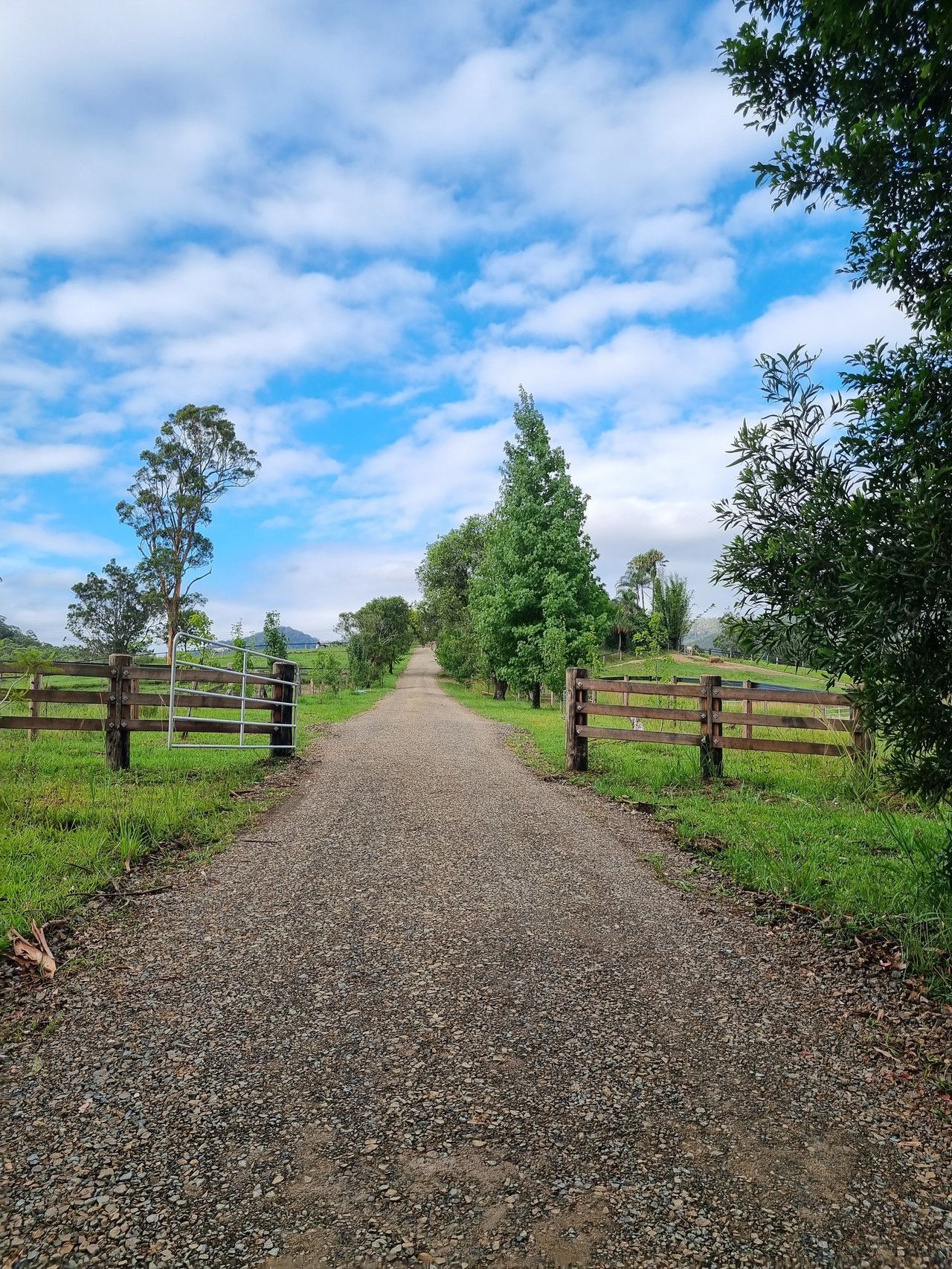 Craig Anderson Earthmoving Truck — Civil Contractors in Coopernook, NSW
