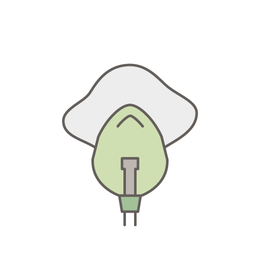 Inhalationsgerät elektrisch Pari Boy