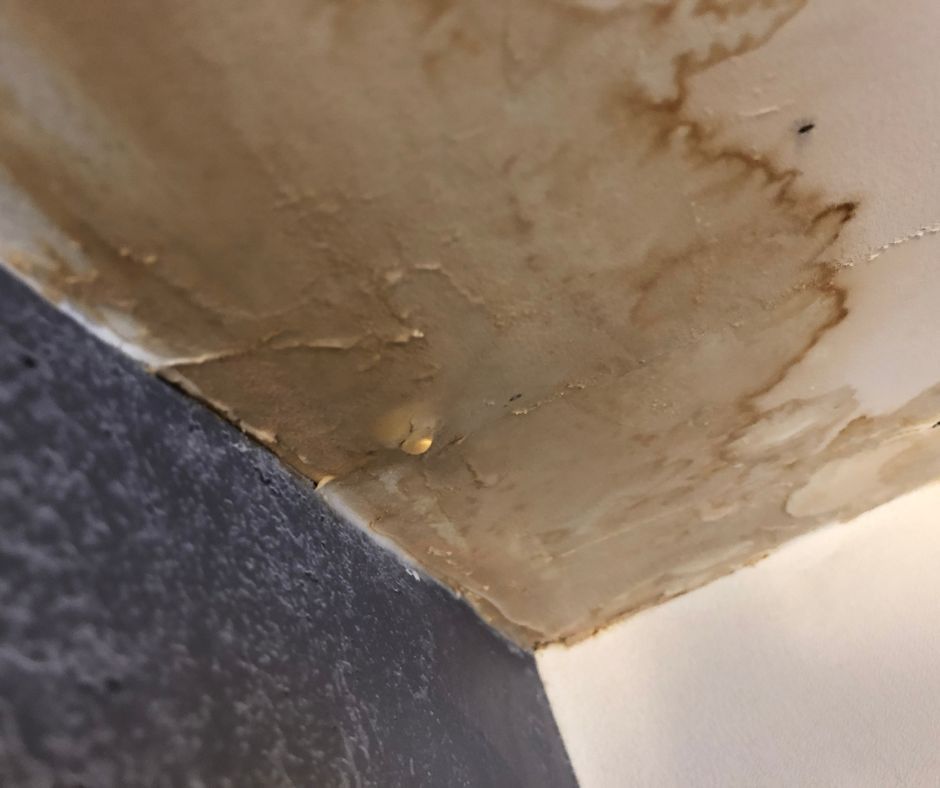 business ceiling with water damage