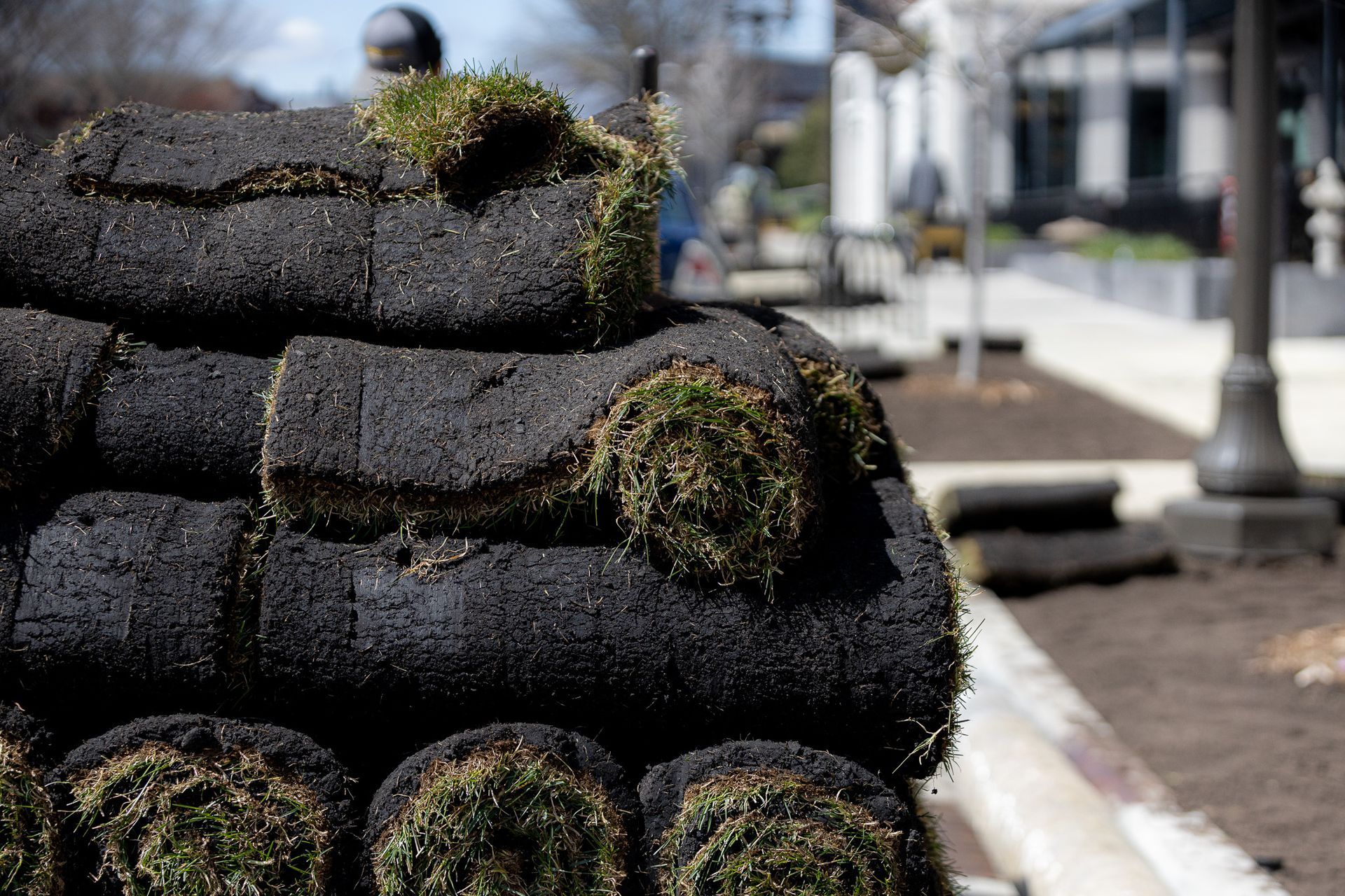 A person is rolling a roll of grass sod in a yard.