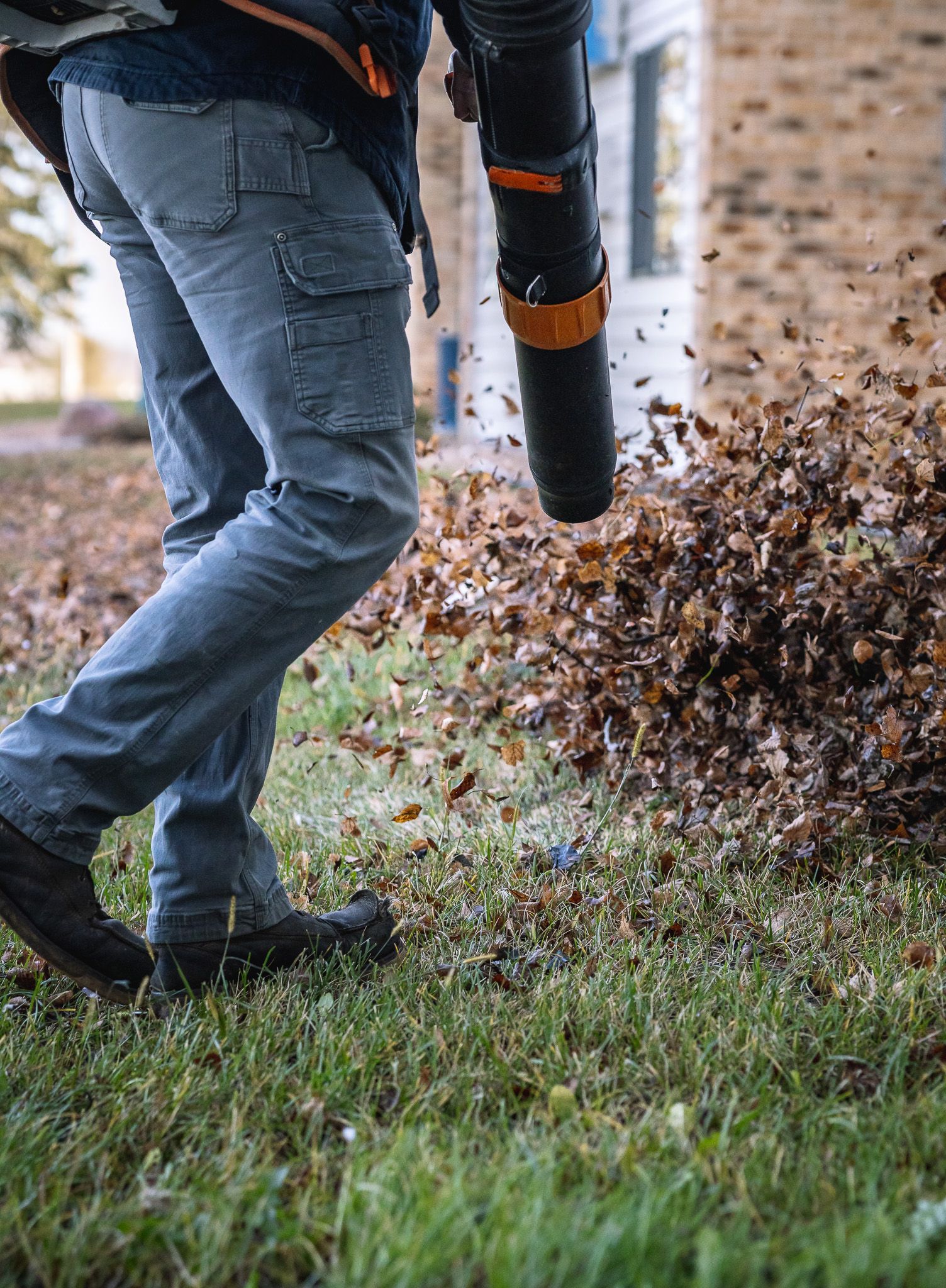 A person is blowing leaves from a pile in a yard.