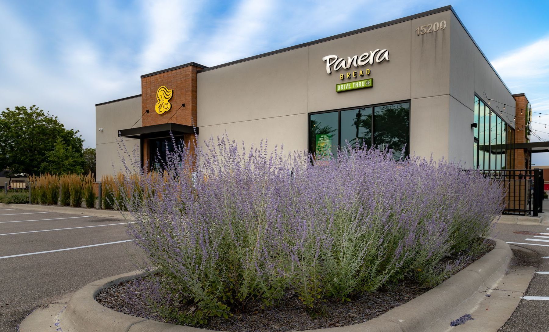 A panera bread restaurant with purple flowers in front of it.
