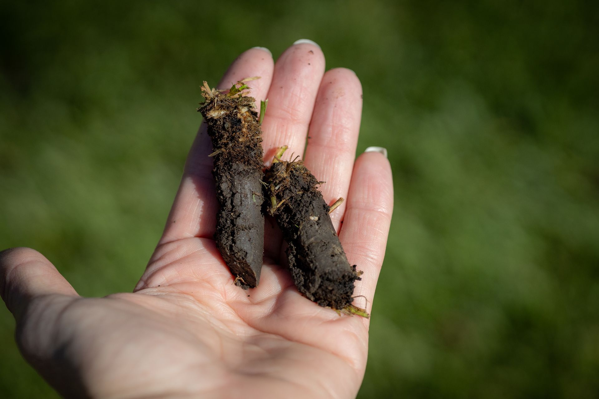 A person is holding two pieces of dirt in their hand.