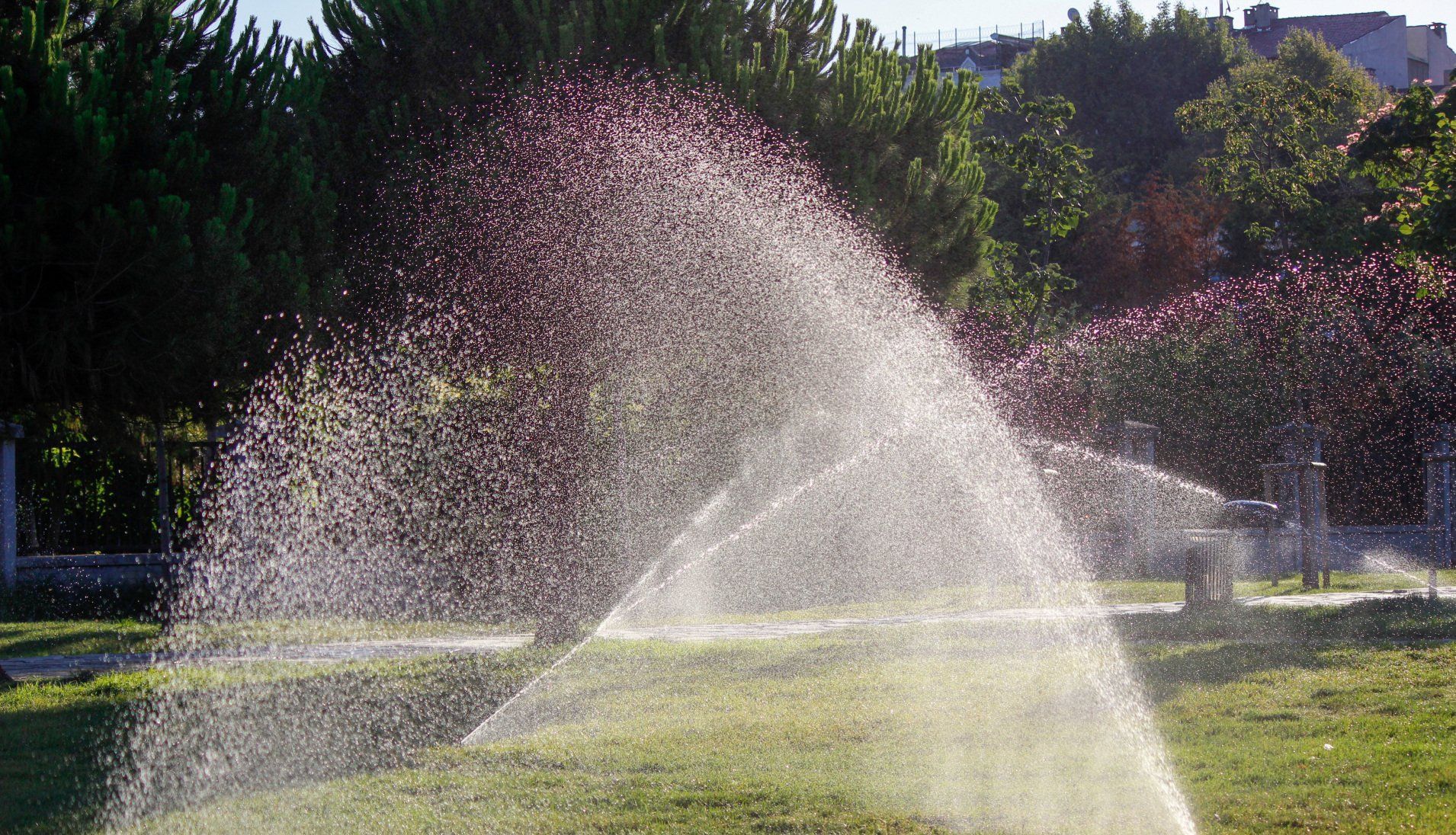 A sprinkler is spraying water on a lush green field.