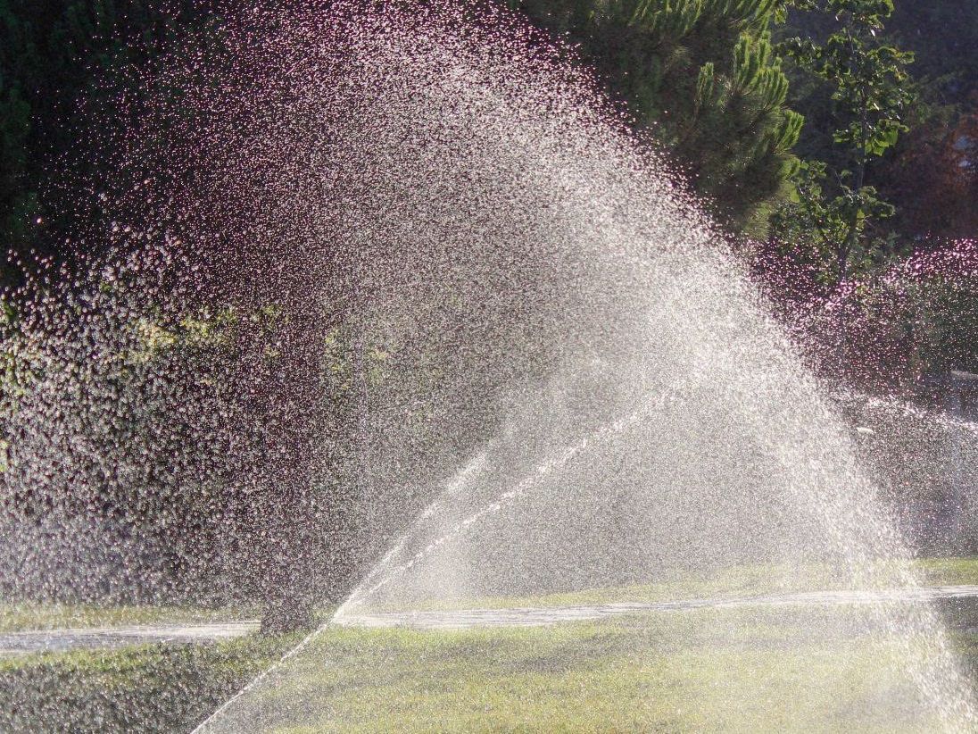 A sprinkler is spraying water on a lush green field.