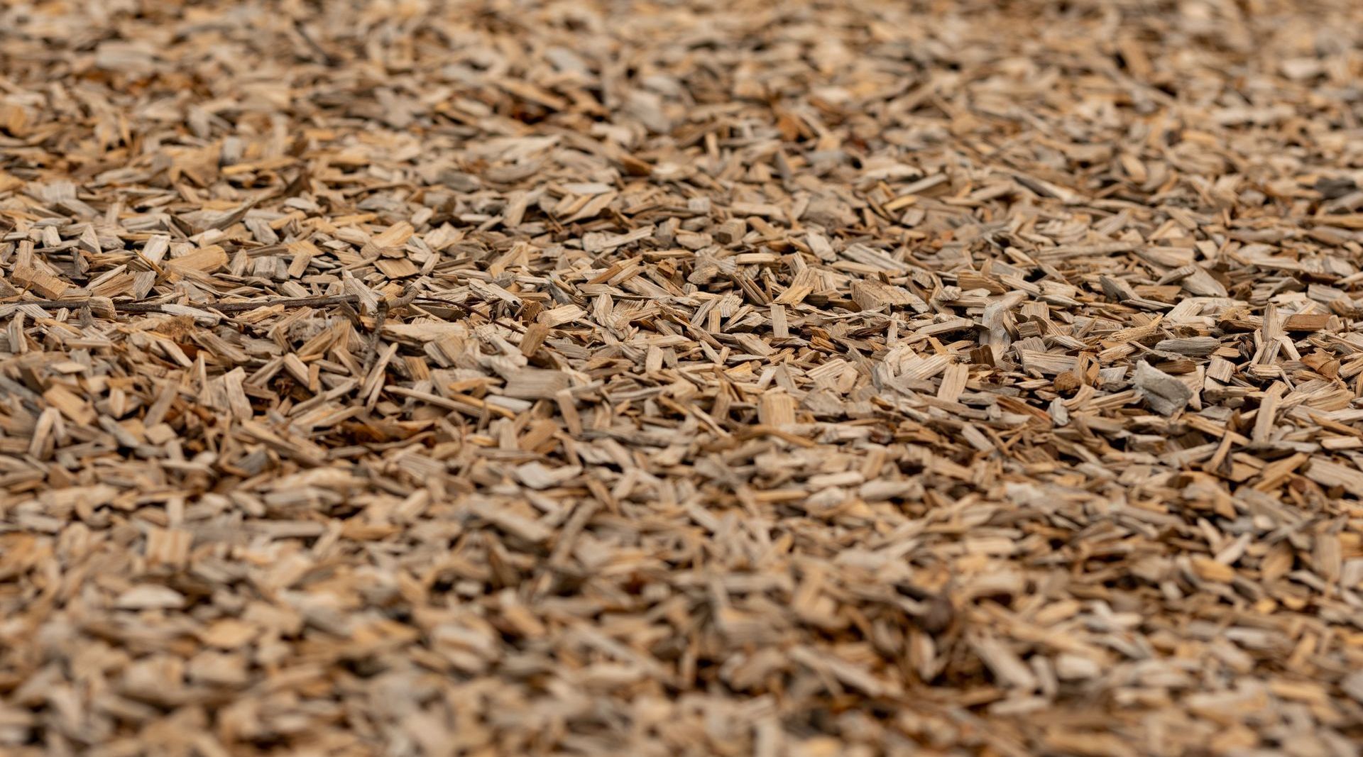 A close up of a pile of wood chips on the ground.