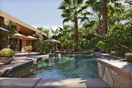 palm trees by pool in back yard