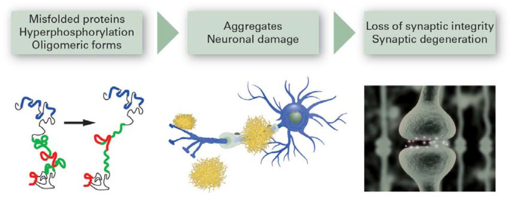 By Dr Jacqueline Gosink, EUROIMMUN AG, Luebeck, Germany