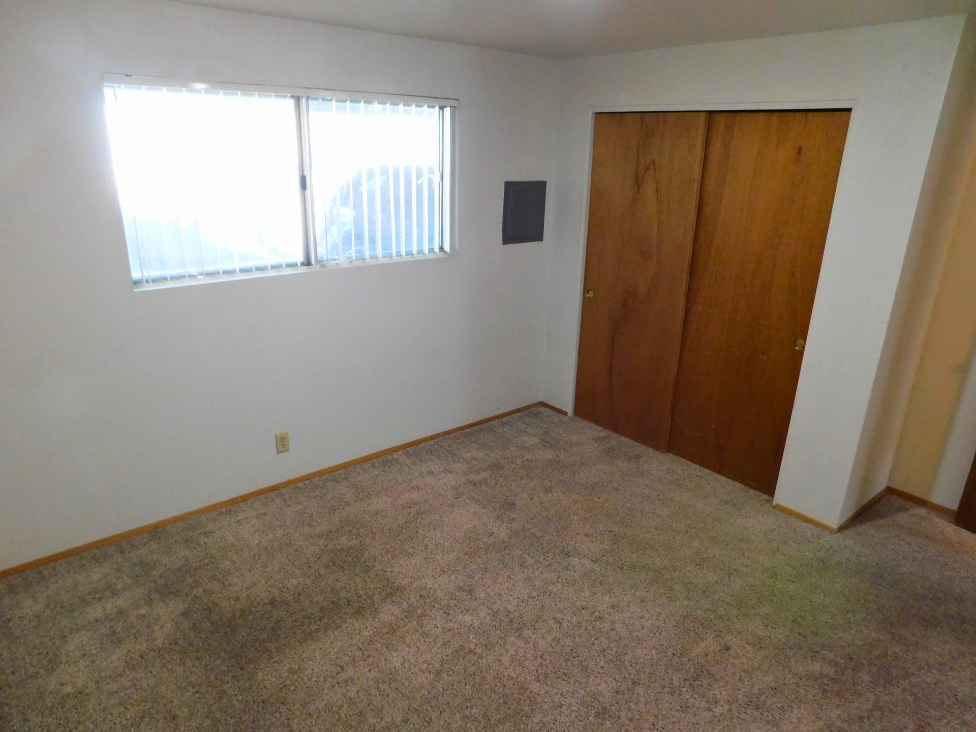 Empty bedroom with carpet, closet, window, and light-colored walls.
