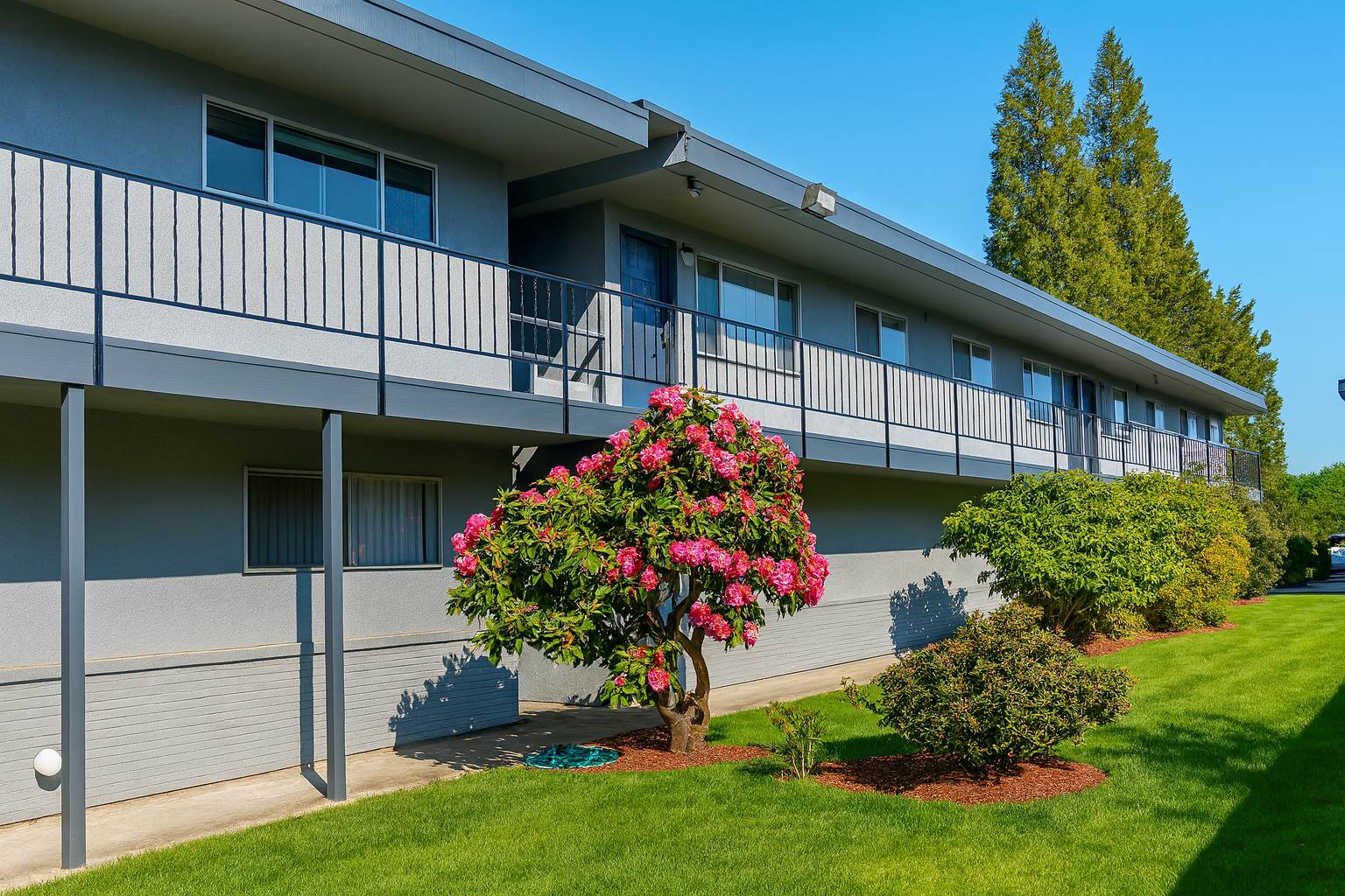 Gray apartment building with a balcony, green lawn, and flowering pink bush under a clear blue sky.