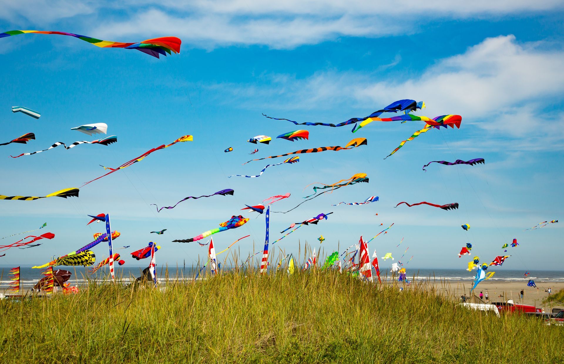 A group of people are flying kites on a beach.