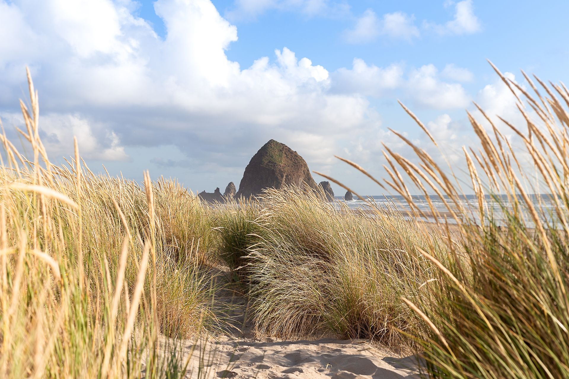 A grassy path leading to a beach with a mountain in the background