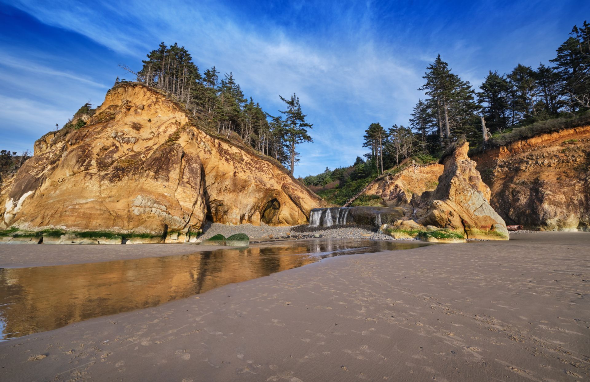 A beach with a cliff and trees in the background